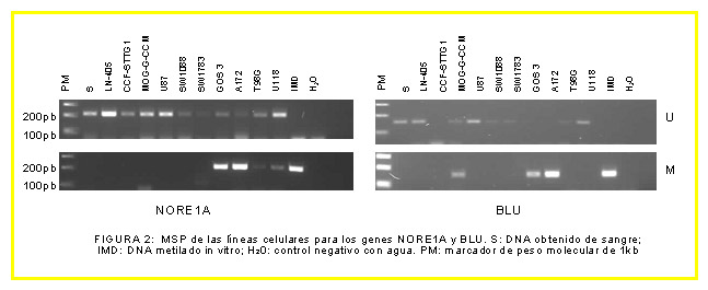 Figura 2 - <div style=